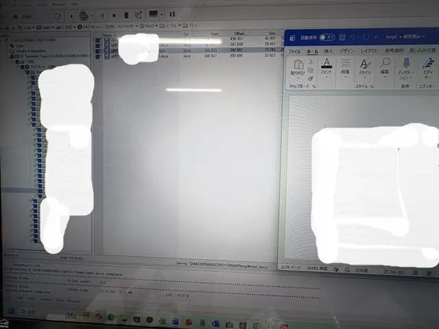 PC-3000でデータ復旧したファイル一部